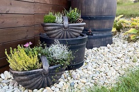 Zimná údržba záhrady. Ako pripraviť záhradu na zimu, aby ste na jar mali menej starostí.