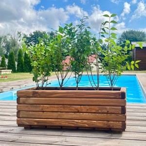 Drevený zahradný kvetináč AKSAMIT, teak, 800x250x300