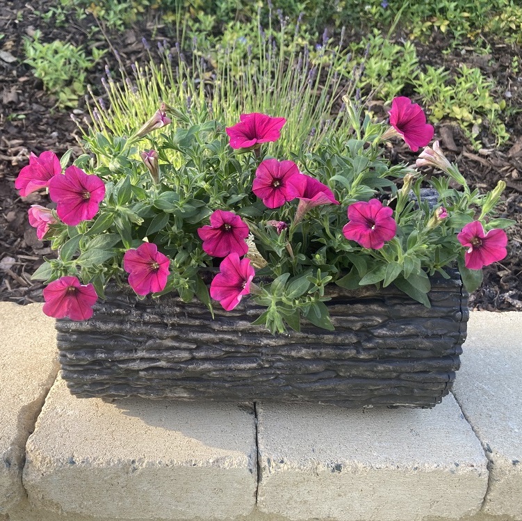 AZTE Květináč v imitaci dřeva - 22x35cm 