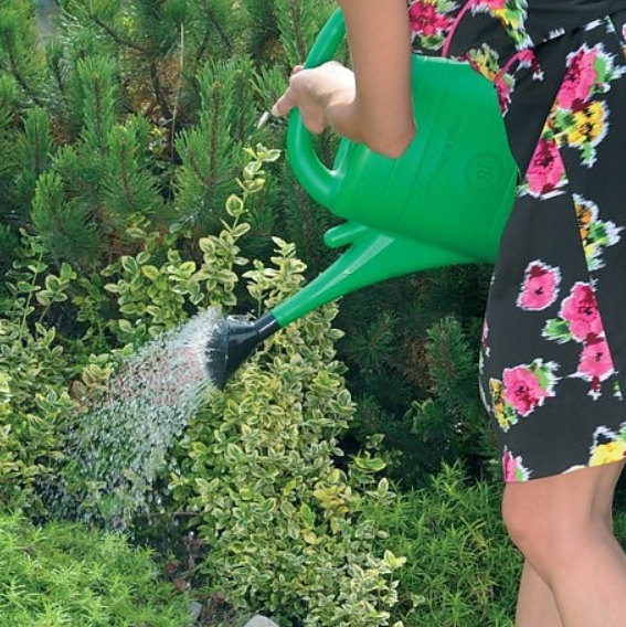 Záhradná krhla SPRING tmavo zelená 8 