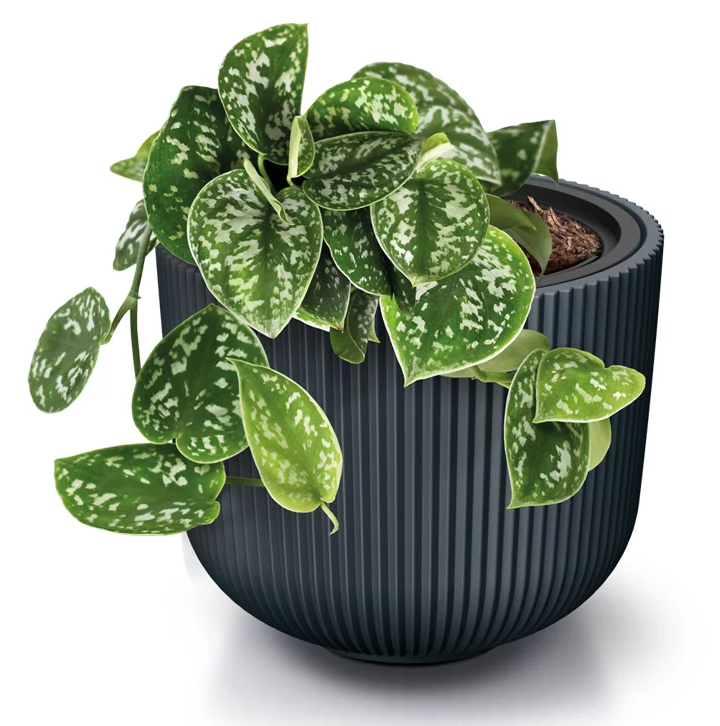 Kvetináč s vložkou MILLY antracit Ø34,9 cm