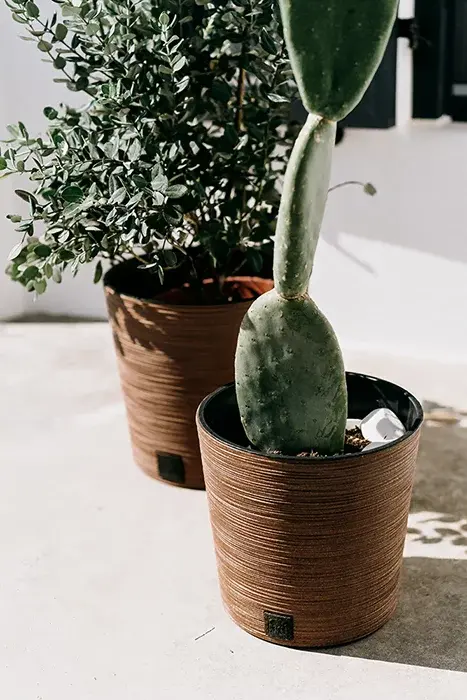 Kvetináč FURU ROUND LOW ECO WOOD 30 cm, svetlo hnedý