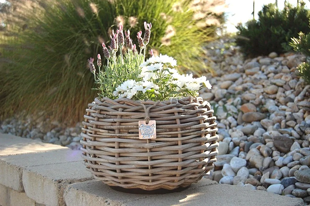 RATANOVÝ Kvetináč DRYPOT TINA small, Ø29x19 cm