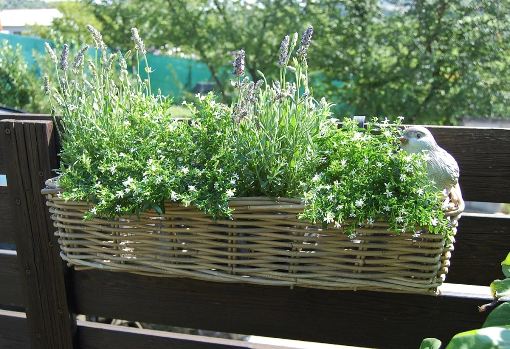 RATANOVÝ BALKÓNOVÝ Truhlík CLASIC, grey, 60x21x17 cm