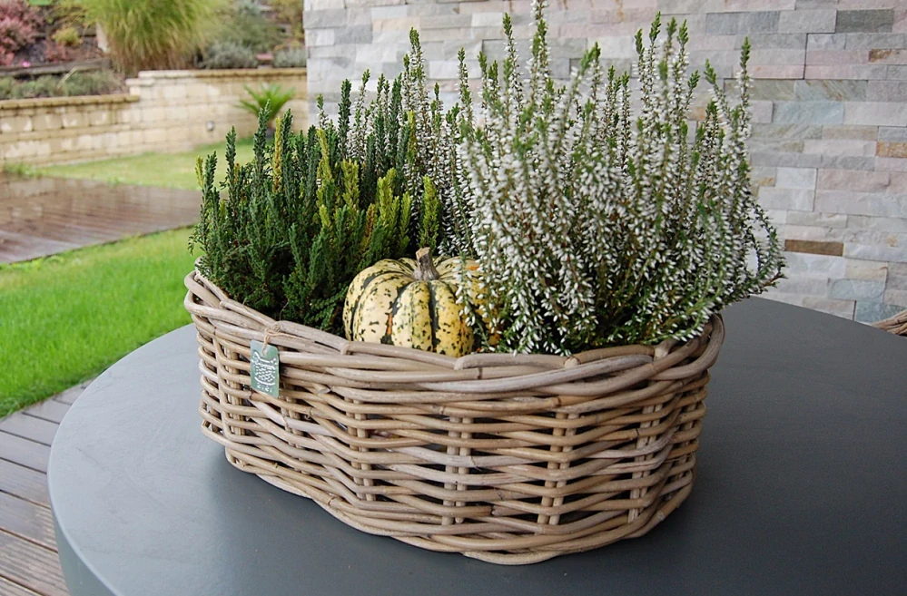 RATANOVÝ Košík OVÁLNY CLASSIC, Grey, 44x32x15 cm