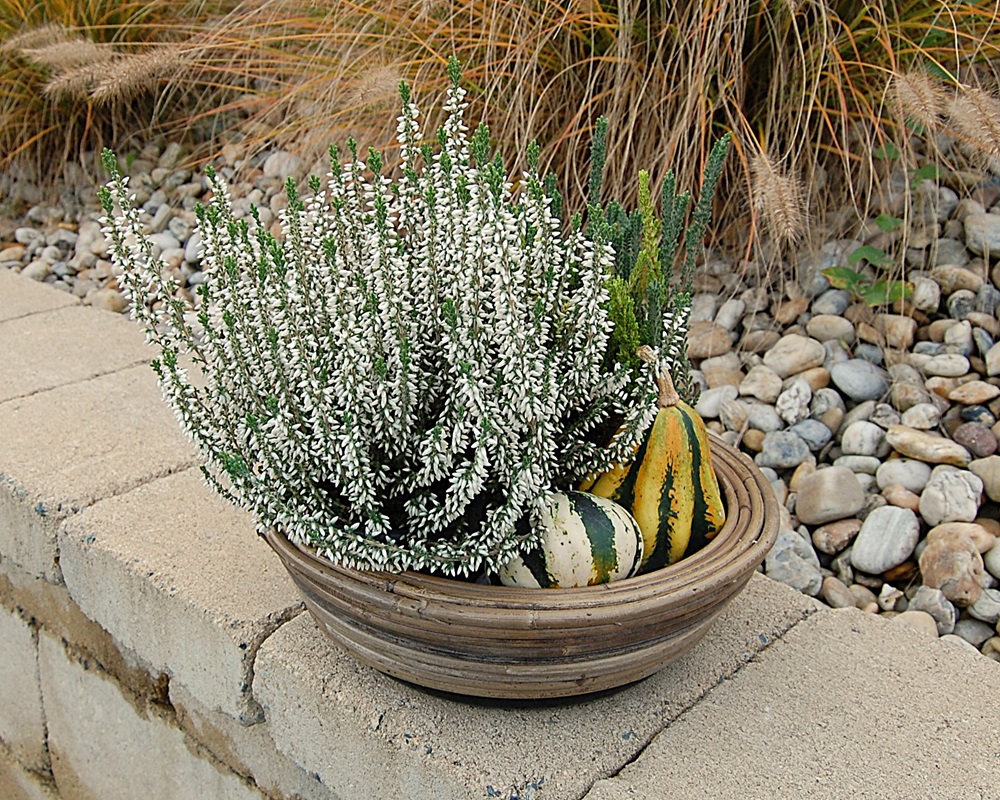 RATANOVÝ Kvetináč DRYPOT STREEP, 30x12 cm