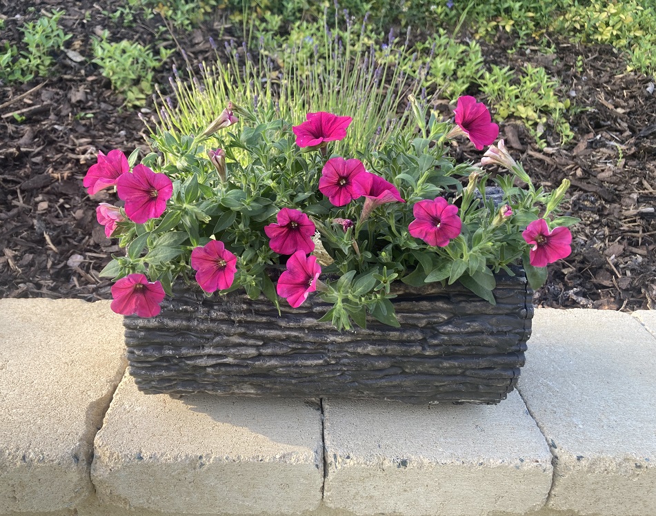 AZTE Květináč v imitaci dřeva - 22x35cm 