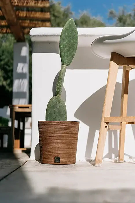 Kvetináč FURU ROUND LOW ECO WOOD 30 cm, svetlo hnedý