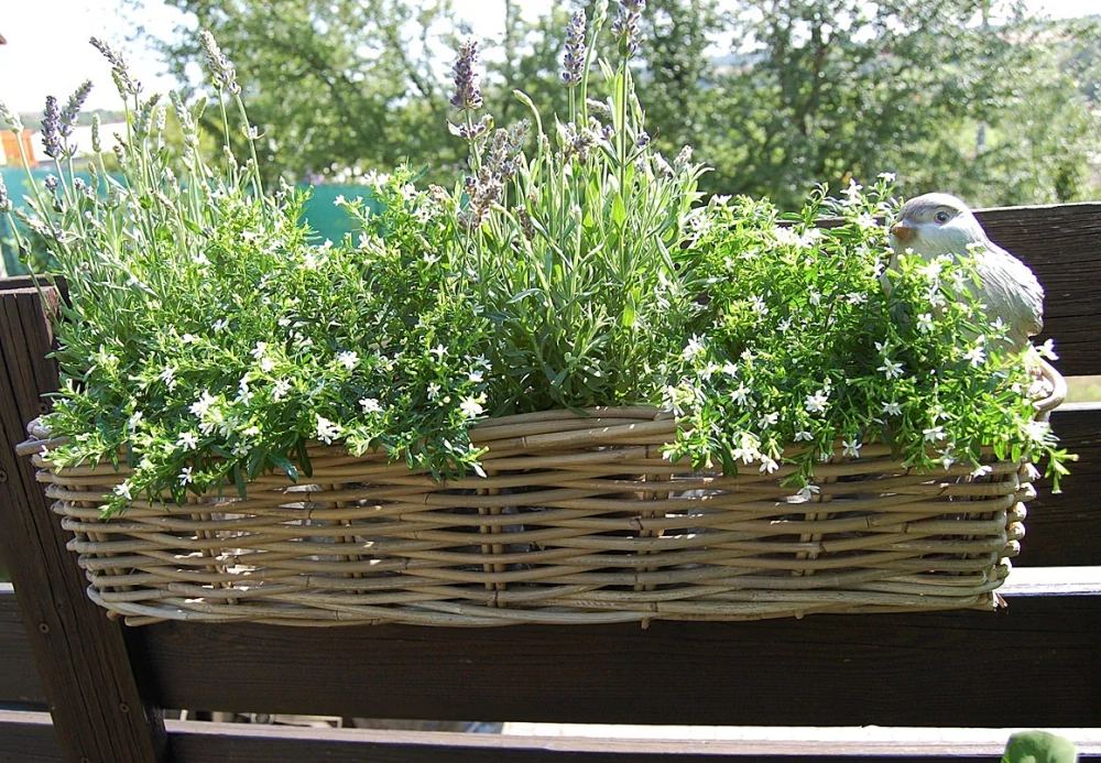 RATANOVÝ BALKÓNOVÝ Truhlík CLASIC, grey, 60x21x17 cm