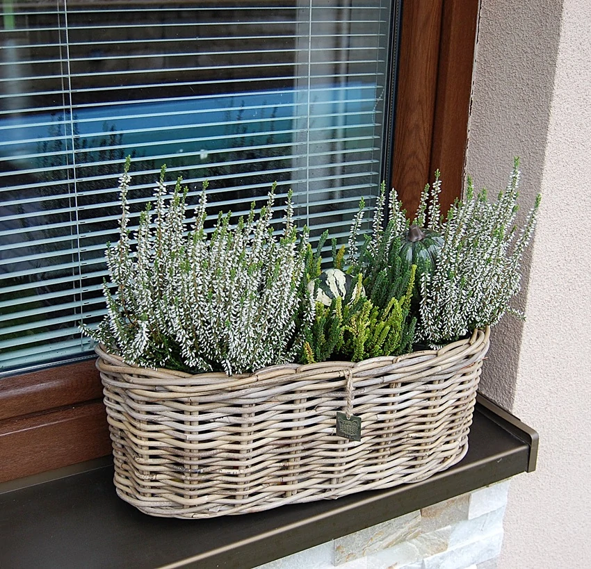 RATANOVÝ truhlík ELIPSA CLASSIC, Grey, 50x20x20 cm