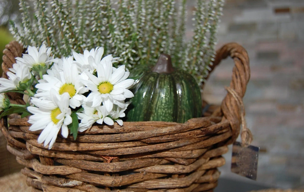 RATANOVÝ KOŠÍK HNEDÝ CLASSIC, 25x20 cm