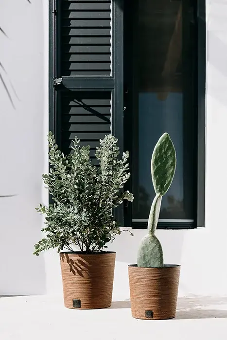 Kvetináč FURU ROUND LOW ECO WOOD 30 cm, svetlo hnedý