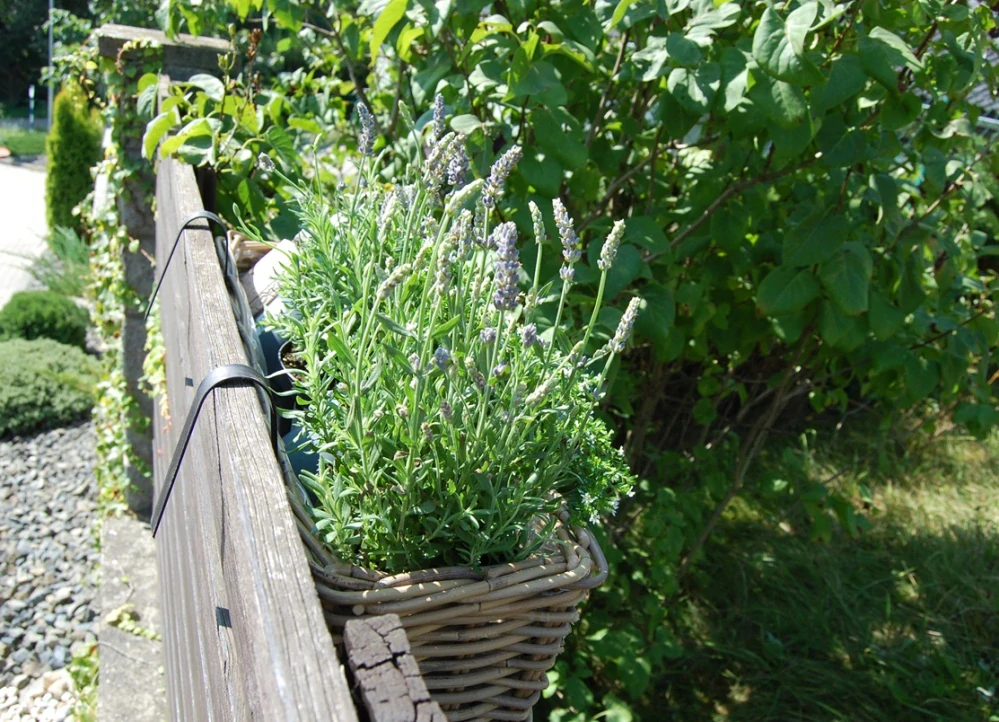 RATANOVÝ BALKÓNOVÝ Truhlík CLASIC, grey, 60x21x17 cm