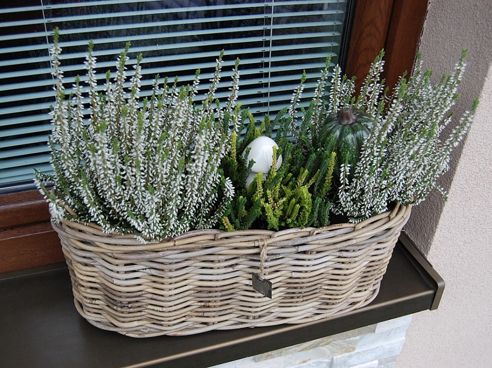 RATANOVÝ truhlík ELIPSA CLASSIC, Grey, 50x20x20 cm