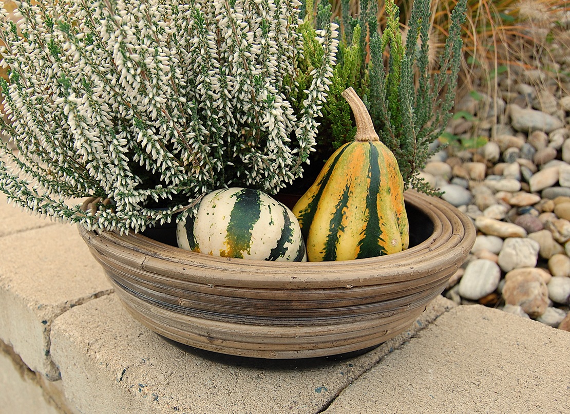 RATANOVÝ Kvetináč DRYPOT STREEP, 30x12 cm