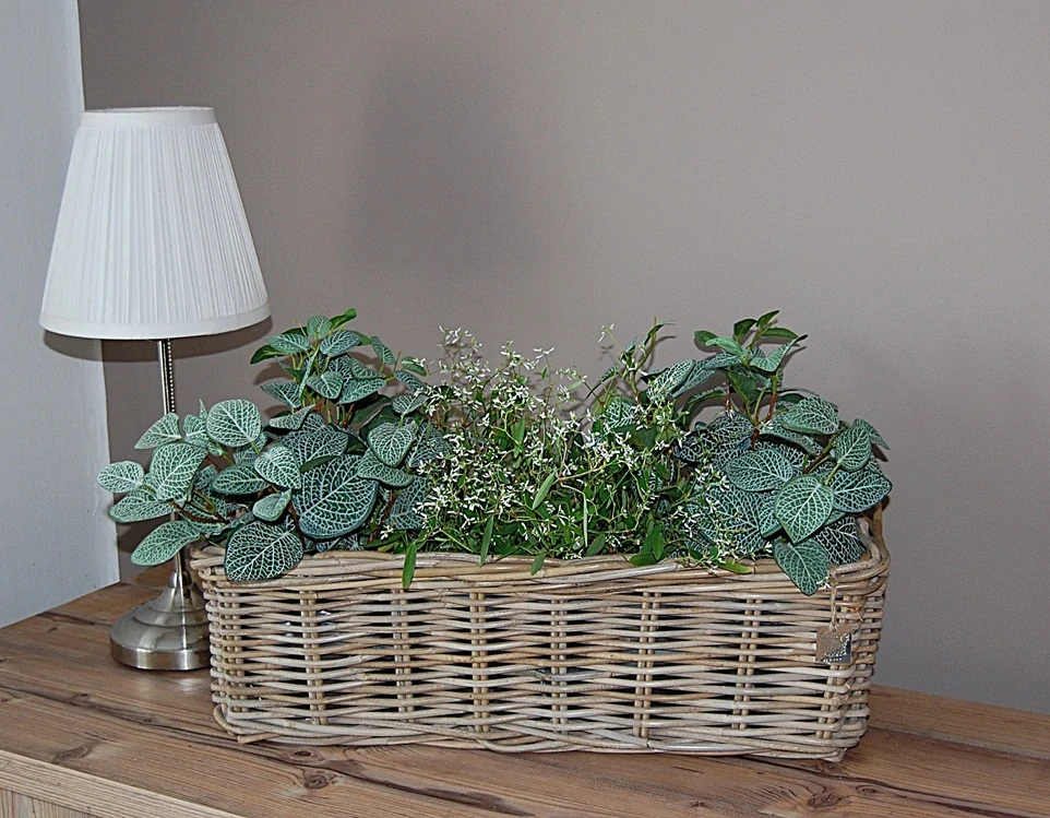 RATANOVÝ TRUHLÍK CLASSIC, Grey, 60x23x20 cm