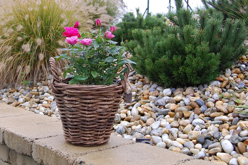 RATANOVÝ KOŠÍK HNEDÝ CLASSIC, 25x20 cm