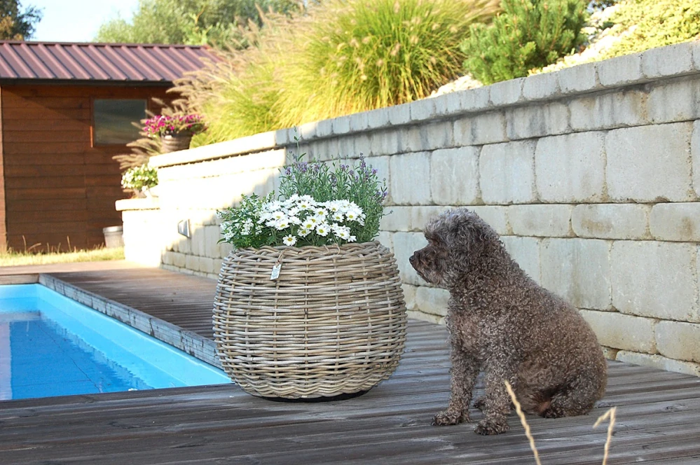 RATANOVÝ Kvetináč DRYPOT TINA medium, Ø45x34 cm