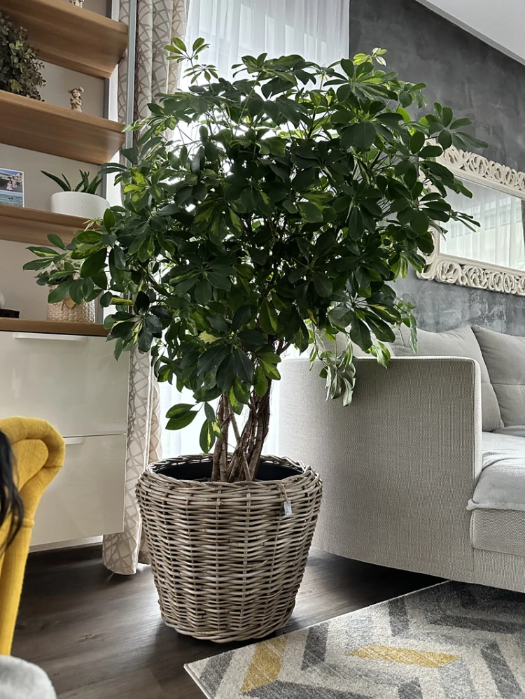 RATANOVÝ Kvetináč DRYPOT Grey, M Ø54x41cm