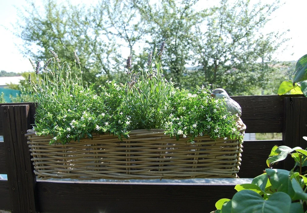 RATANOVÝ BALKÓNOVÝ Truhlík CLASIC, grey, 60x21x17 cm