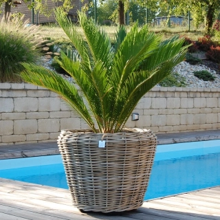 RATANOVÝ Kvetináč DRYPOT Grey, M Ø54x41cm