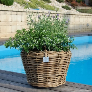 RATANOVÝ Kvetináč DRYPOT, Grey, Ø32x23 cm.