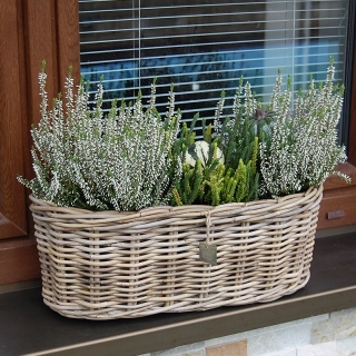 RATANOVÝ truhlík ELIPSA CLASSIC, Grey, 50x20x20 cm