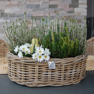 RATANOVÝ Košík OVÁLNY CLASSIC, Grey, 44x32x15 cm