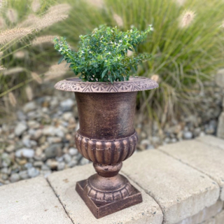 LITINOVÁ FRANCÚZSKÁ misa LÉA na podstavci, výška 30 cm